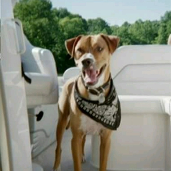 Meet your Posher, Karen - Picture 1 of 1